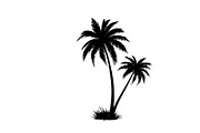Tropical Palm Tree Silhouette Bundle, an Illustration by Amazin_art (Thumbnail 6 of 21)