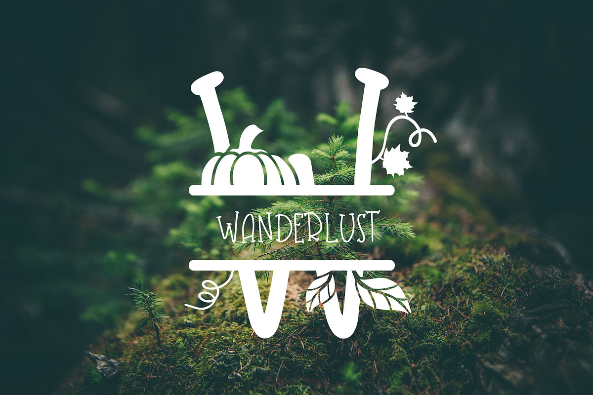Fall Leaves - Split Monogram Font preview 2