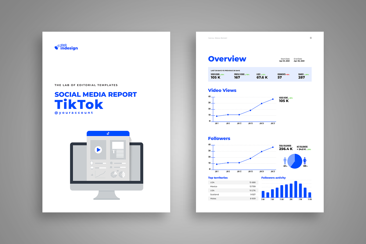 TikTok Analytics and Stats Template, a Templates & Theme by StockInDesign (Photo 3 of 5)