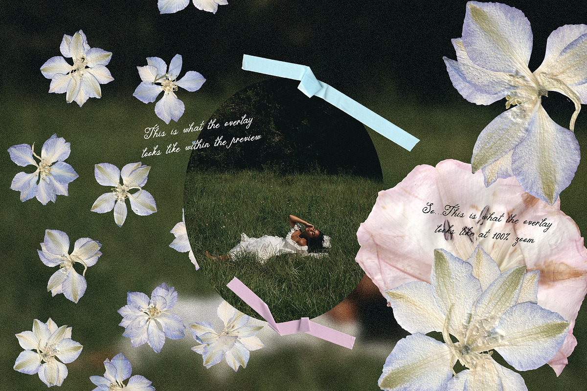 The Garden Treasures Floral Overlays, an Object Graphic by Muse Artist (Photo 3 of 14)