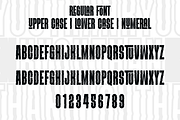 VELDOREN BRUSH - Modern Font, a Sans Serif Font by Viswal Studio (Thumbnail 5 of 8)