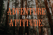 Nestcology, a Blackletter Font by dansdesign (Thumbnail 3 of 8)