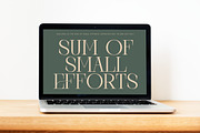 Barely Painter Elegant Serif Font, a Serif Font by timelesstype.co (Thumbnail 12 of 20)
