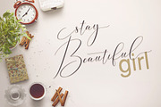 Washington Calligraphy Modern, a Script Font by Teweka (Thumbnail 18 of 19)