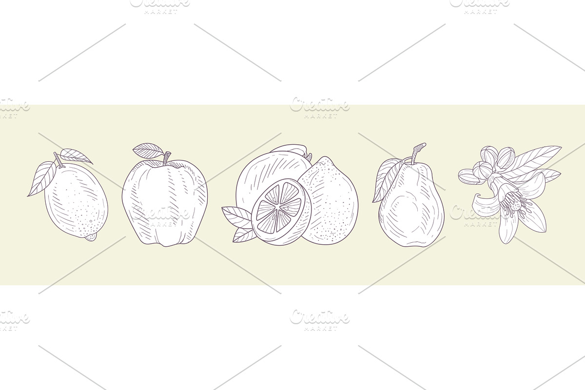 Hand Drawn Fruit and Fresh Juicy, a Food Illustration by TopVectors