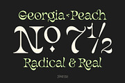 Magritte Surrealist Serif Font, a Font by Molly Suber Thorpe (Thumbnail 7 of 10)