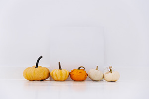 Empty picture frame autumn pumpkin, a Holiday Photo by hitdelight