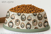 Pet Bowls PNG & PSD Mockups, a Product Mockup by mock-ups (Thumbnail 5 of 12)