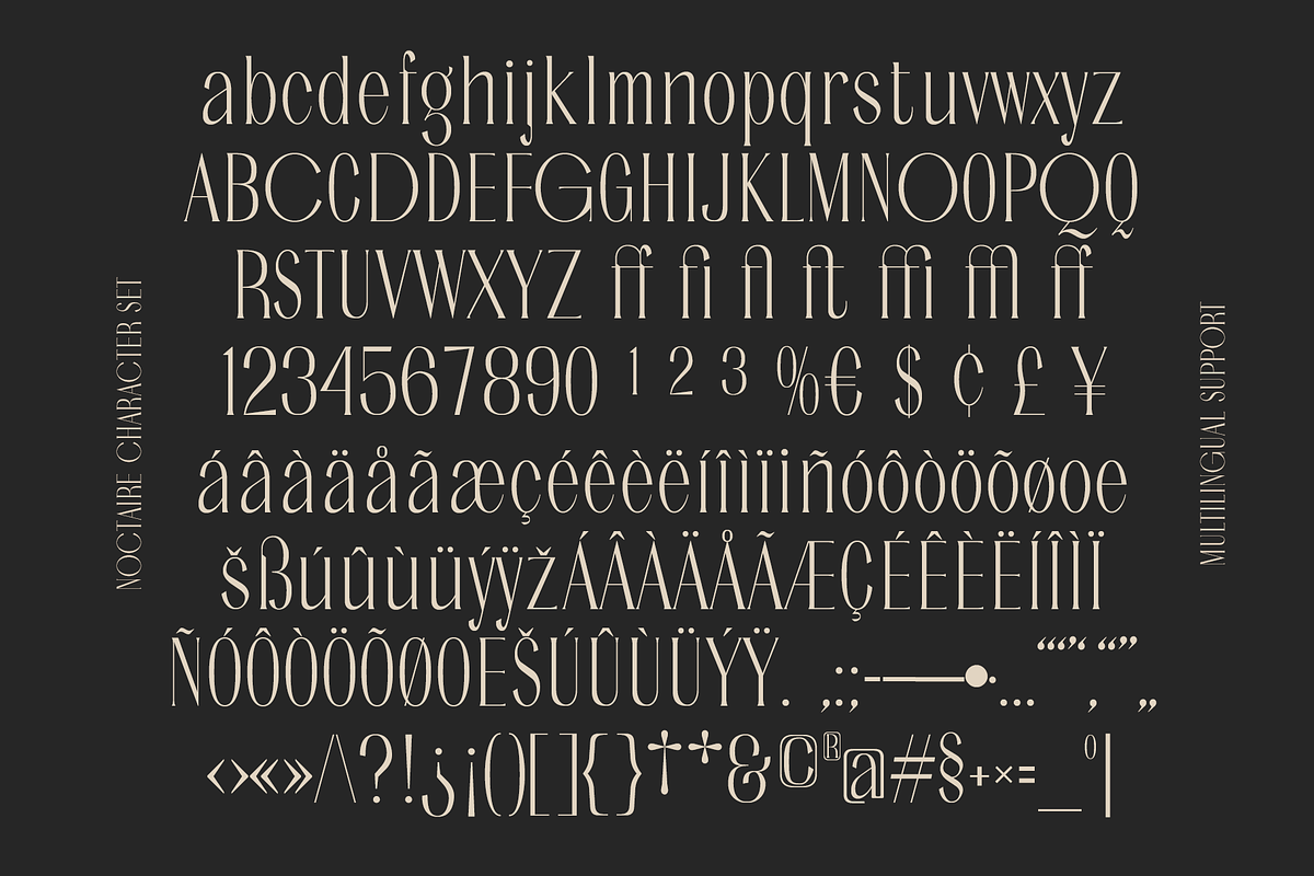 Noctaire - Modern Serif, a Serif Font by Sronstudio (Photo 17 of 18)