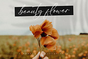 Kaldista Project Modern Signature, a Script Font by Letterena Studios Script (Thumbnail 10 of 15)