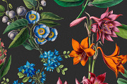 Exquisite Botanical Floral Pattern, a Pattern Graphic by likorbut (Thumbnail 13 of 14)