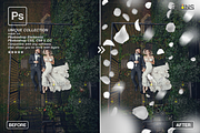 White Rose Petals photo overlays, an Object Graphic by 2SUNS (Thumbnail 8 of 9)