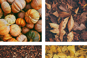 Oil Paint Autumn Backgrounds