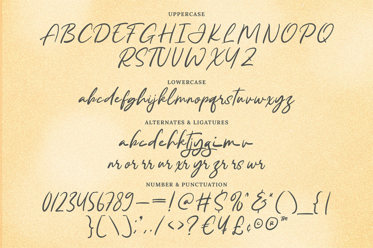 Ranchel Handwritten Script, a Script Font by Salamahtype