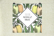 Мango Vector Collection, an Illustration by Lubov Illustrations Shop (Thumbnail 5 of 7)