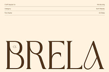 CS Brela – Elegant Serif Font