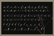 Mahogany Wedding Script Font, a Script Font by Graphicxell (Thumbnail 8 of 8)