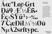 GrethaSerif, a Serif Font by Propertype (Thumbnail 5 of 14)