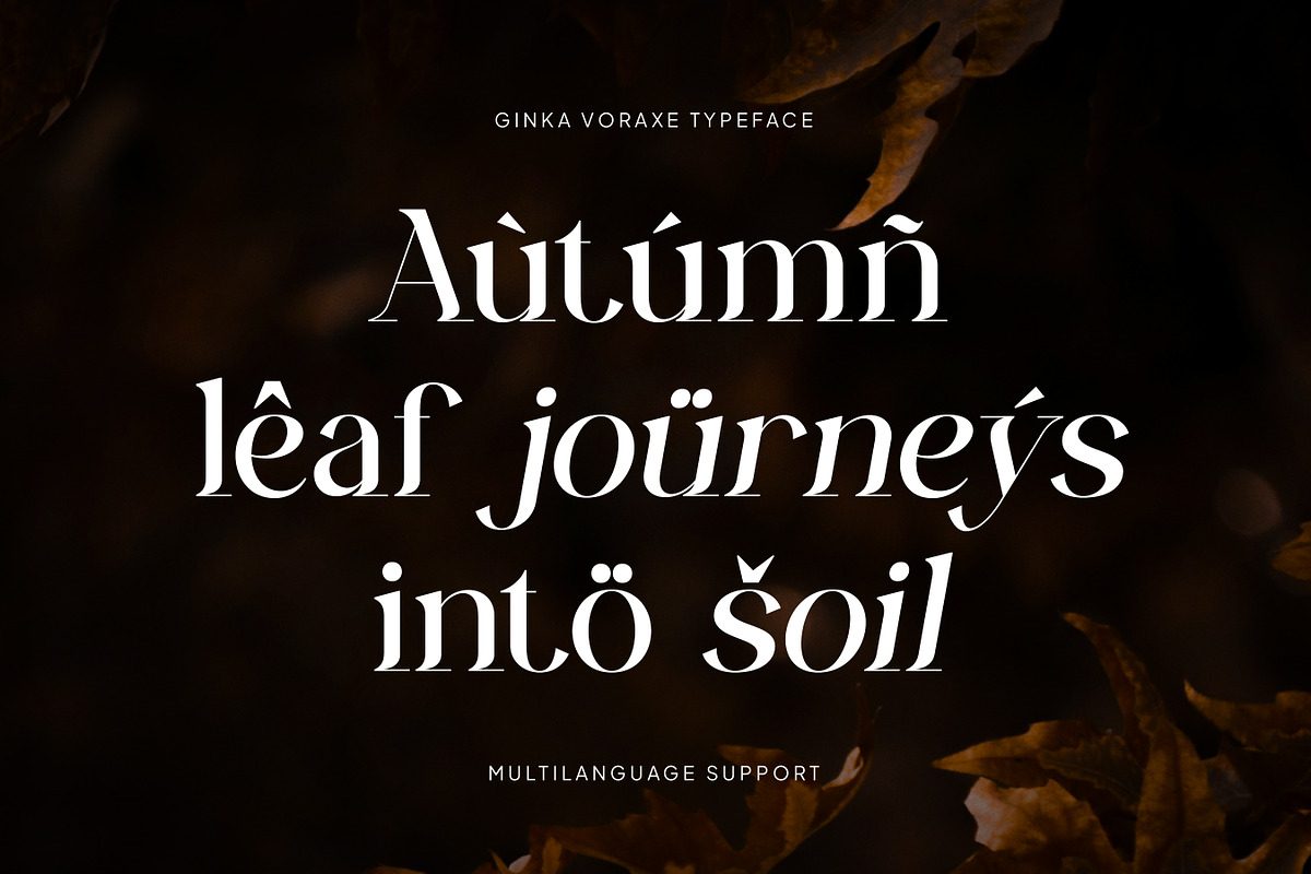 Ginka Voraxe – Modern Stylish Serif, a Serif Font by Mahesans Co (Photo 6 of 11)