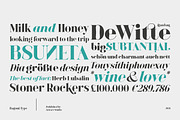 Bagoni Type, a Serif Font by Attract Studio (Thumbnail 15 of 19)