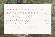 Dear Amora Handwritten Script, a Handwritten Font by Perplexitics (Thumbnail 12 of 12)