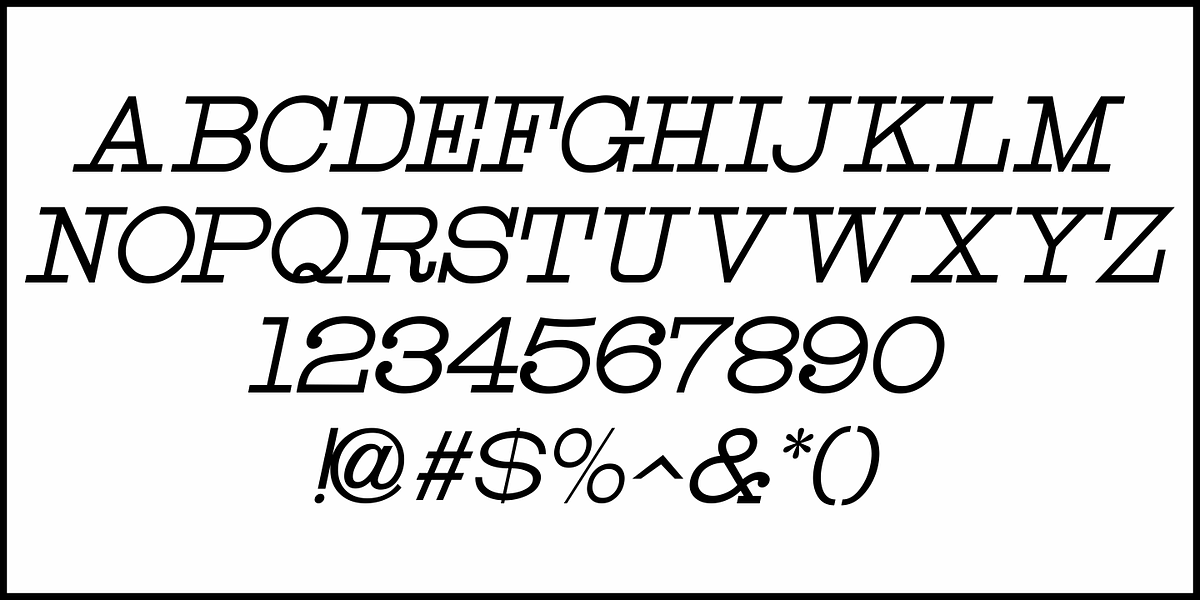 Page Printer JNL, a Serif Font by Jeff Levine Fonts (Photo 5 of 5)