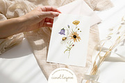 Watercolor Botanical Wildflowers Set, a Decorative Illustration by Carol Lozove (Thumbnail 8 of 36)