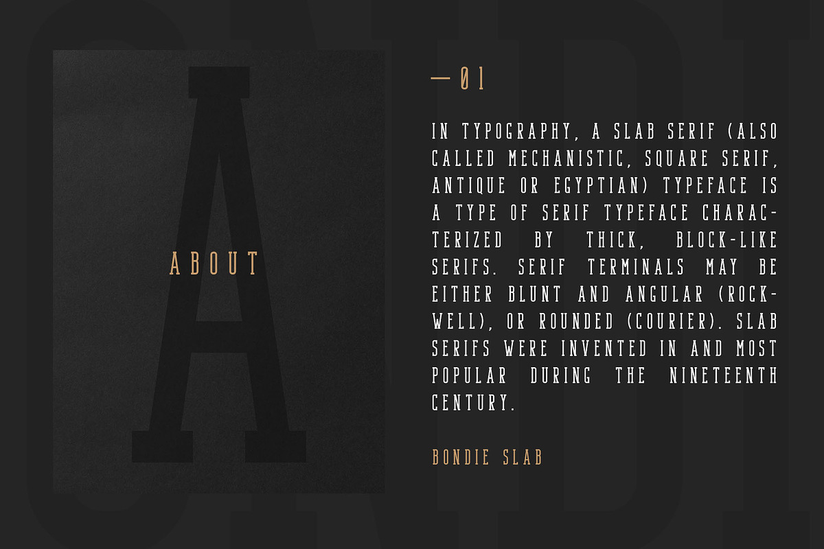 Bondie - Condensed Slab Serif Font preview 2