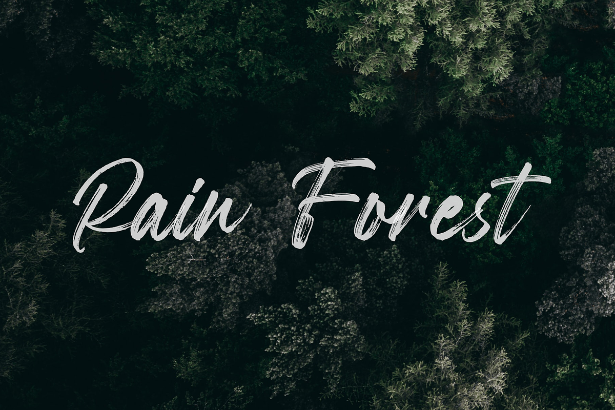 Garland - Modern Brush Font preview 7