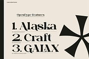 Gradzy | Display Serif Font, a Serif Font by Denustudios (Thumbnail 10 of 13)
