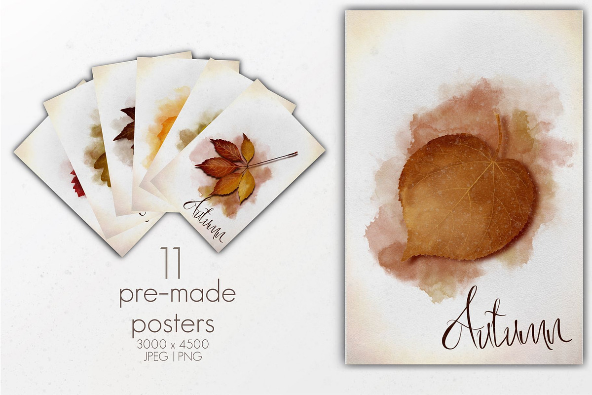Autumn leaves set, a Decorative Illustration by AfieArt (Photo 5 of 7)