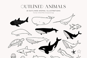 Ocean Animals: Colored & Outline