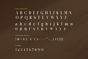 Wonder Elegant Serif Font, a Serif Font by Perfectype (Thumbnail 7 of 8)