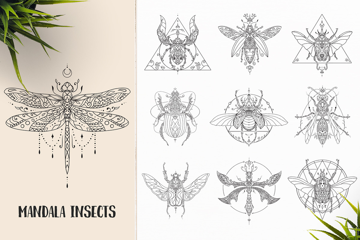 530 Vector Mandala Ornaments, an Animal Illustration by pixaroma (Photo 14 of 55)