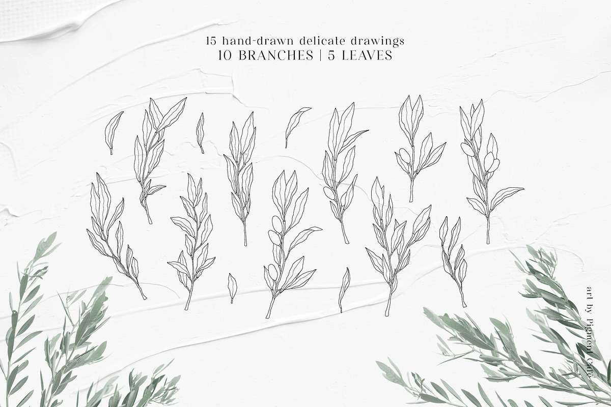 Olive Branches & Botanical Patterns, a Decorative Illustration by Pigment Café (Photo 4 of 10)