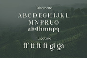 Megarow, a Serif Font by Rishsketch (Thumbnail 10 of 13)