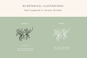 Greenery Sketchbook Illustrations, a Decorative Illustration by Emma Webb Studio (Thumbnail 5 of 7)