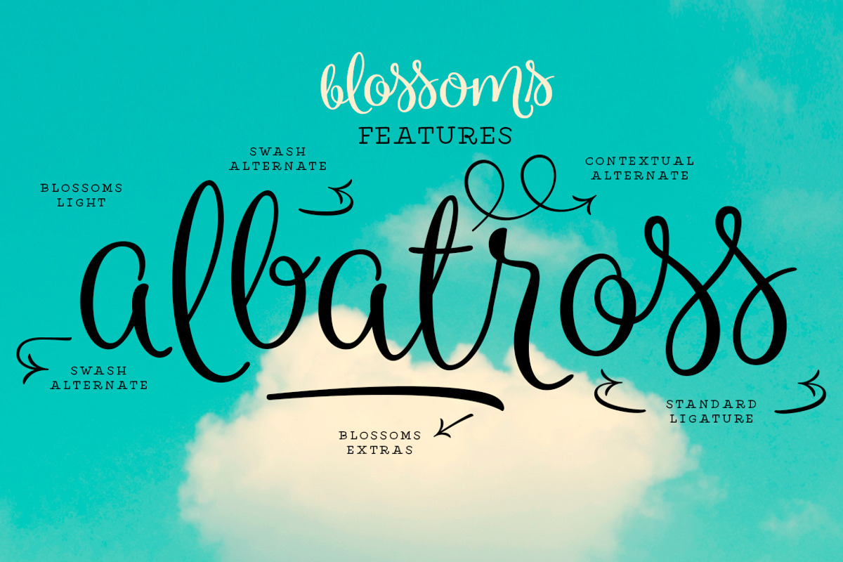 Blossoms INTRO SALE -45% preview 4