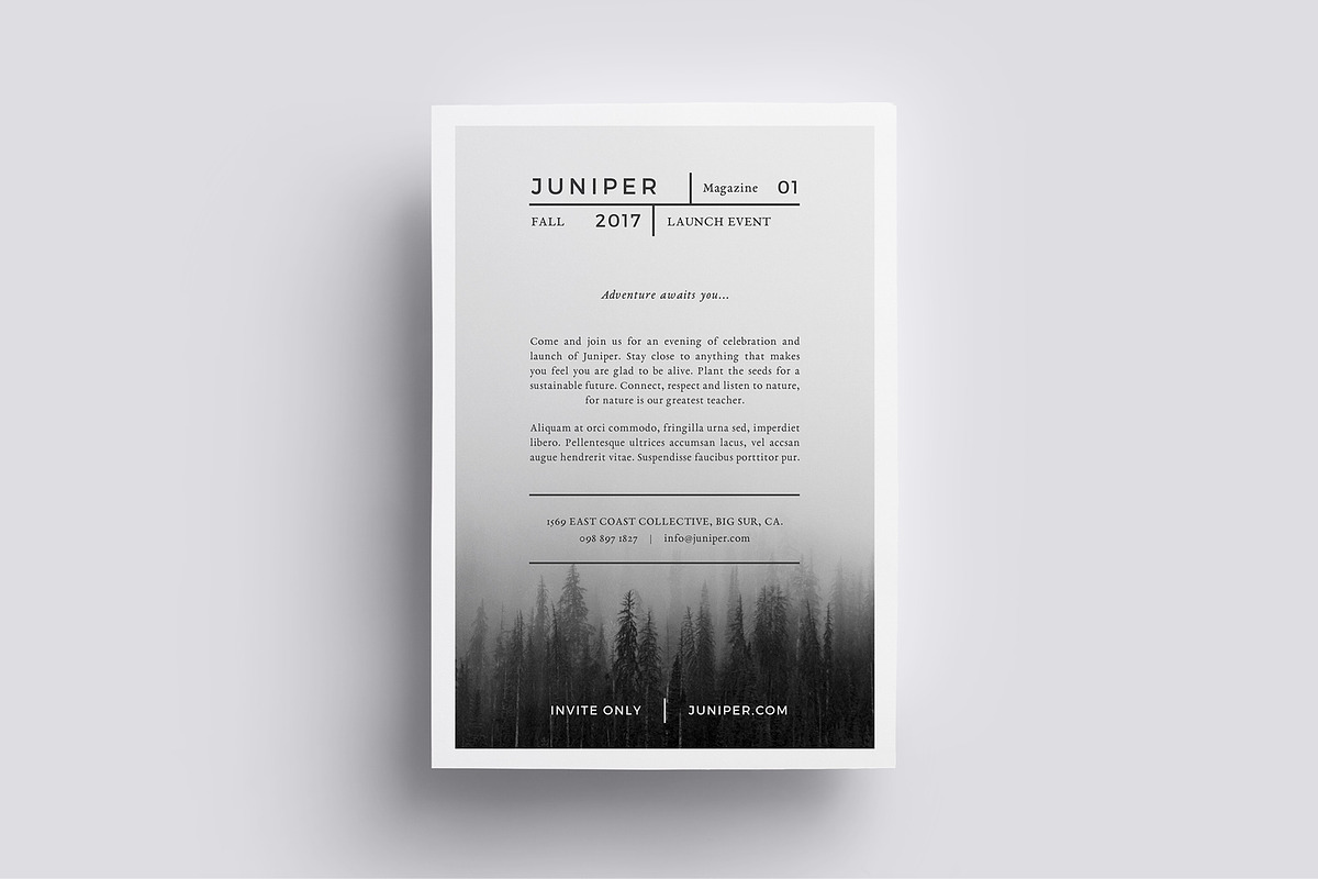 J U N I P E R  Flyer Template, a Flyer Template by 46&2 Collective (Photo 5 of 11)