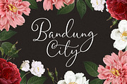 Gladiolus - Modern Calligraphy, a Serif Font by Letterhend Studio (Thumbnail 7 of 8)