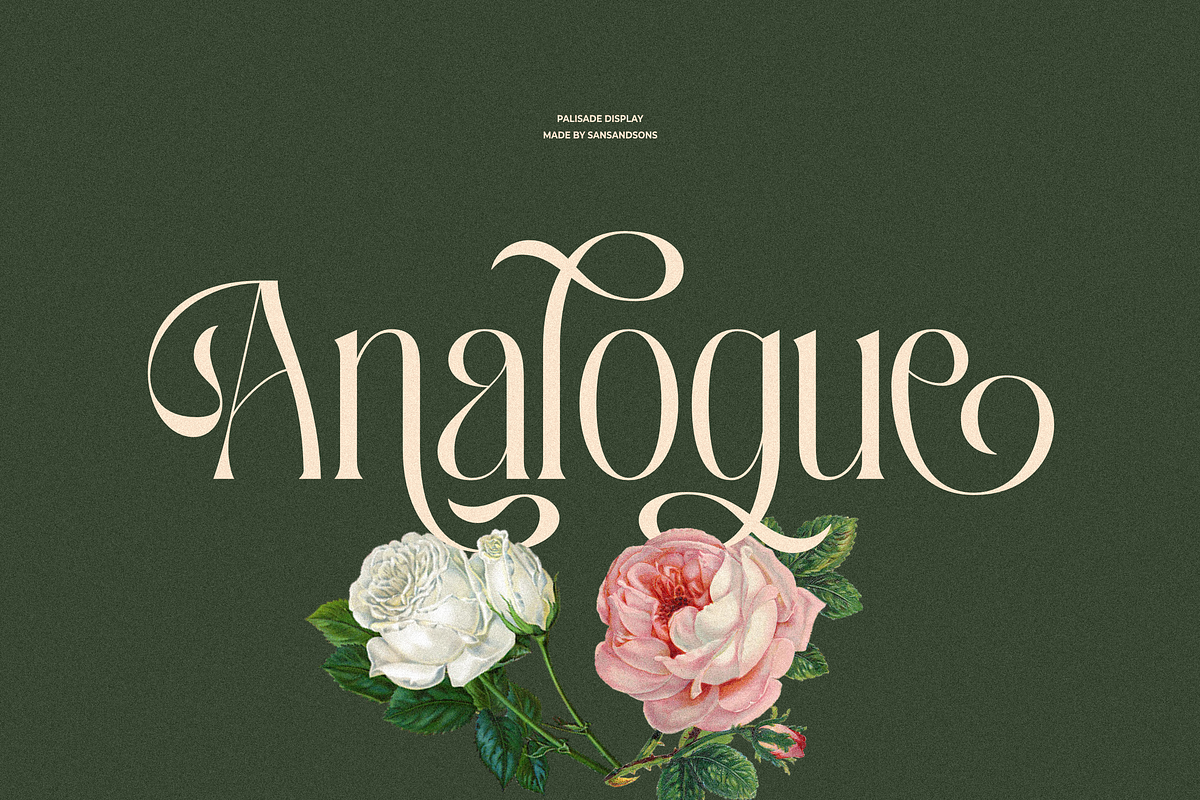 Palisade Display Font, a Serif Font by Sans & Sons (Photo 8 of 10)