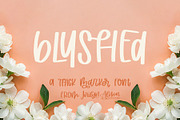 Blushed, Thick Marker Font, a Handwritten Font by Jordyn Alison Designs (Thumbnail 1 of 8)