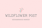 Snapdragon Serif Font, a Handwritten Font by Beck McCormick (Thumbnail 3 of 10)