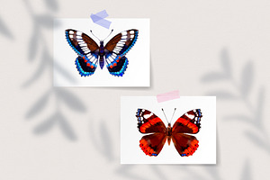 Watercolor Ink Butterfly Floral Set