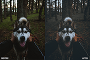 Dark and Moody Lightroom presets, a Preset Add-On by AAA Presets (Thumbnail 3 of 10)