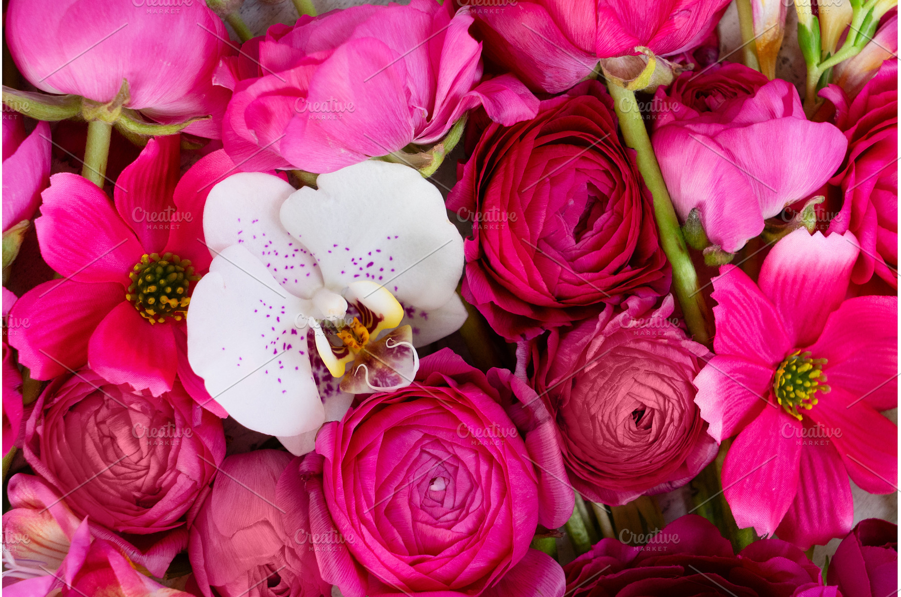 Flowers flat lay composition, a Holiday Photo by Neirfy