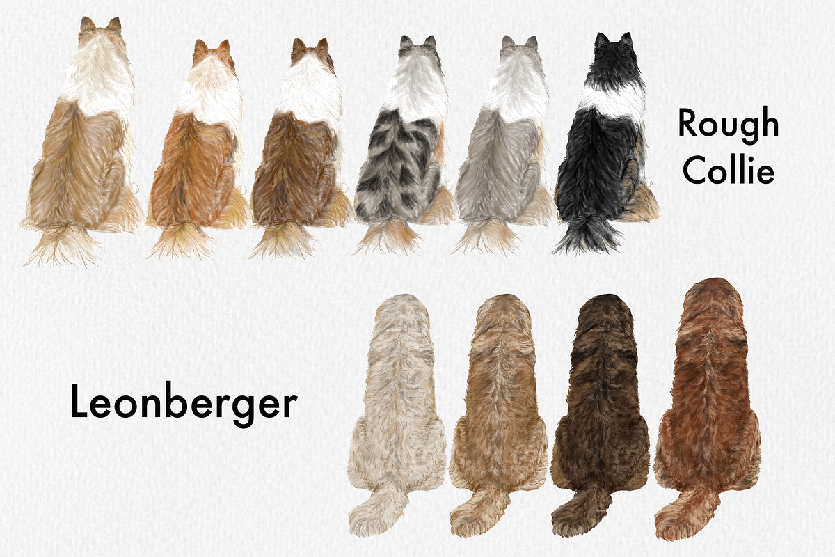 Watercolor Dog Breeds Clipart., an Animal Illustration by ColorfulPT (Photo 6 of 8)