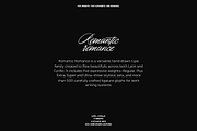 Romantic Romance - Calligraphy Font, a Script Font by VP Fonts (Thumbnail 2 of 21)