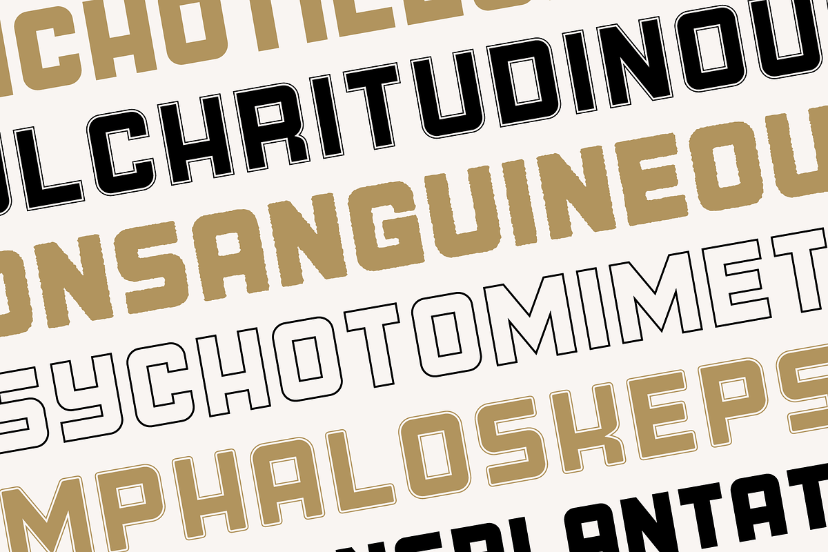 Junosky - Bold Font Family, a Sans Serif Font by alpercakici (Photo 8 of 13)