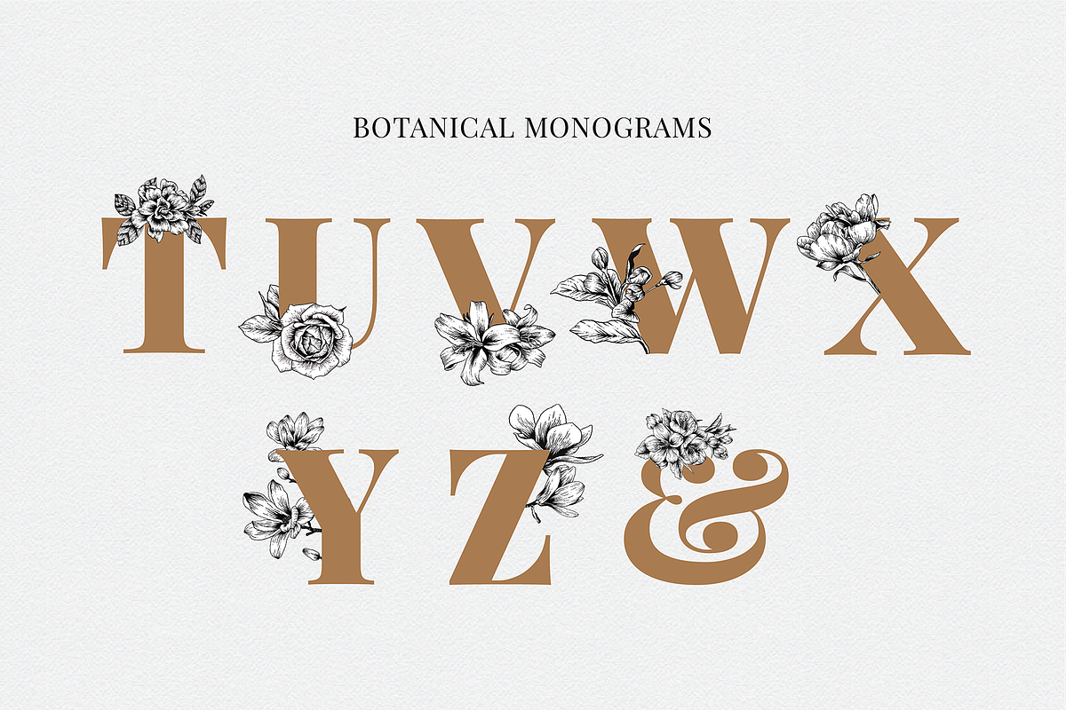 Botanical Illustration Bundle, an Illustration by Rough Edges Supply Co. (Photo 14 of 17)